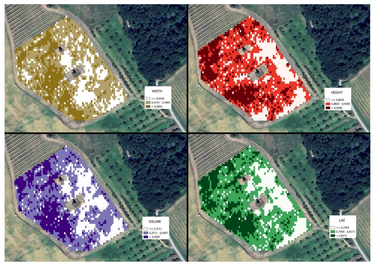 Mappe di spessore, altezza, volume della chioma e Lai generate da trattore, giugno 2024